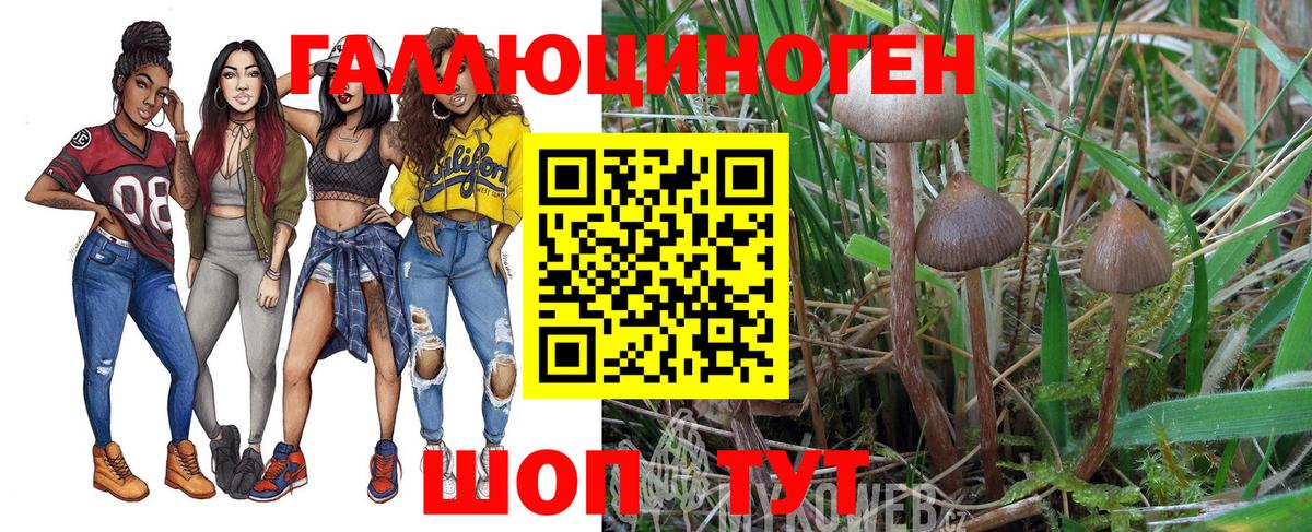 Псилоцибиновые грибы прущие грибы  Вход с VPN  Ахтубинск 